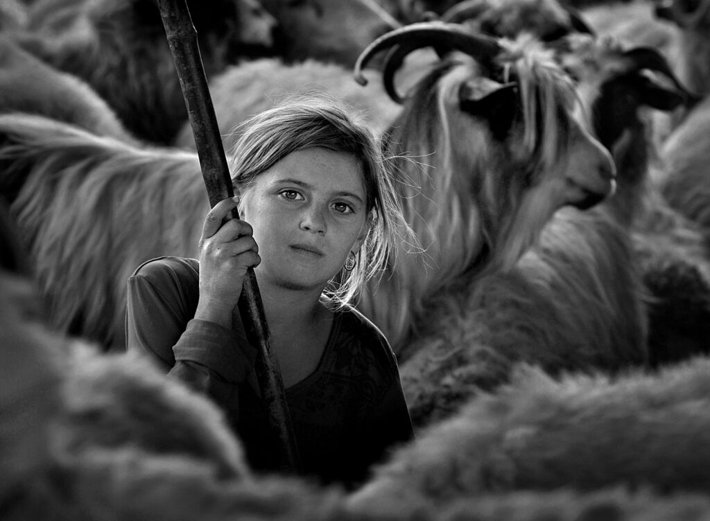B__BEST_AUTHOR_Kerekes_Istvan___Shepherd Girl