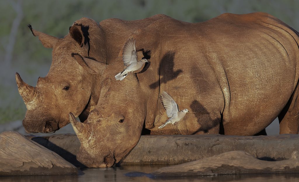 A_1 OPEN COLOR_AW_01_Long_Xuejun___Happy Time